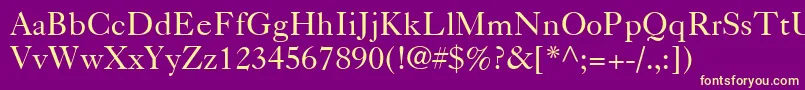 Caslon540LtRoman Font – Yellow Fonts on Purple Background