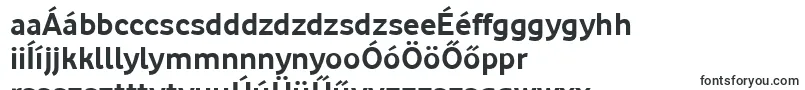 Шрифт VodafoneBold – венгерские шрифты