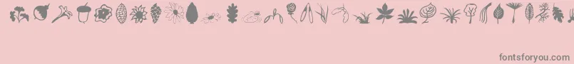 Plants-Schriftart – Graue Schriften auf rosa Hintergrund