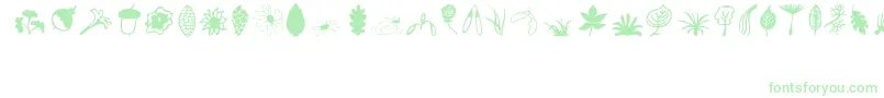Plants-Schriftart – Grüne Schriften auf weißem Hintergrund