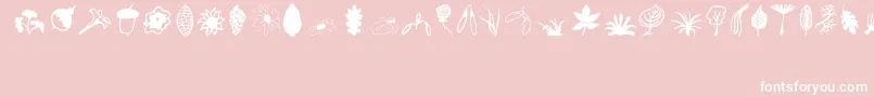 Plants Font – White Fonts on Pink Background