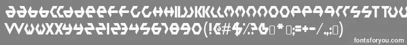 plastic bag Font – White Fonts on Gray Background