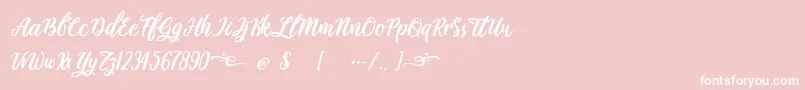 Plastic Beauty Light Font – White Fonts on Pink Background