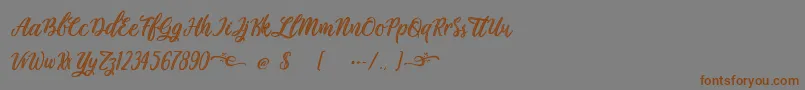 Plastic Beauty Font – Brown Fonts on Gray Background
