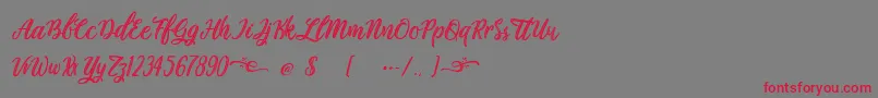 Plastic Beauty Font – Red Fonts on Gray Background