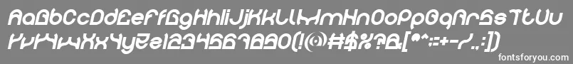 PLASTIC Bold Italic Font – White Fonts on Gray Background