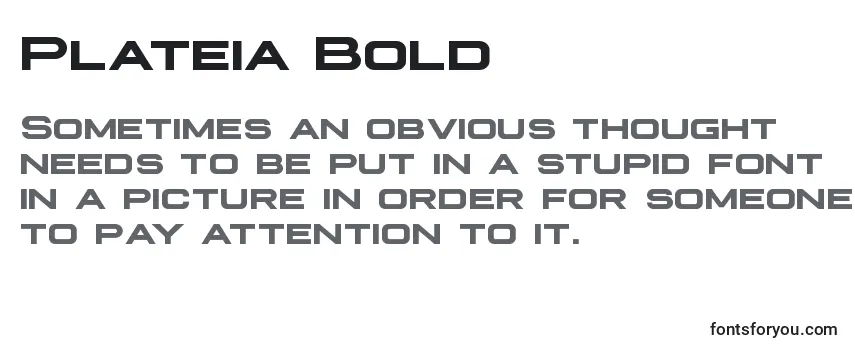 Review of the Plateia Bold Font