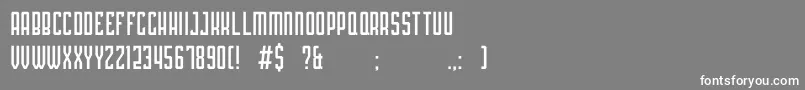 PLATINA Font – White Fonts on Gray Background