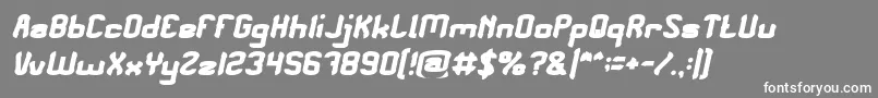 フォントPLEASE FORGIVE ME Bold Italic – 灰色の背景に白い文字