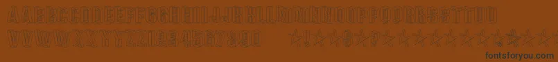 PLEXB    Font – Black Fonts on Brown Background