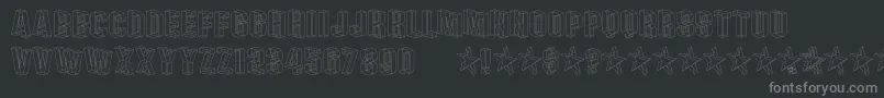 PLEXB    Font – Gray Fonts on Black Background