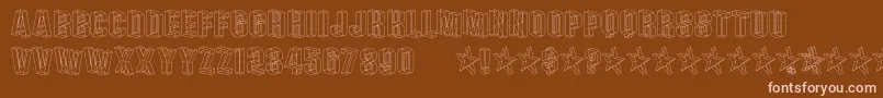 PLEXB    Font – Pink Fonts on Brown Background