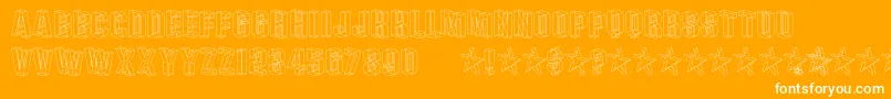PLEXB   -Schriftart – Weiße Schriften auf orangefarbenem Hintergrund