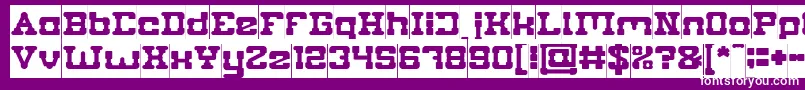 PLUMBING Inverse Font – White Fonts on Purple Background