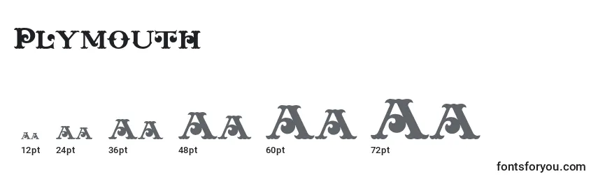 Размеры шрифта Plymouth (137094)