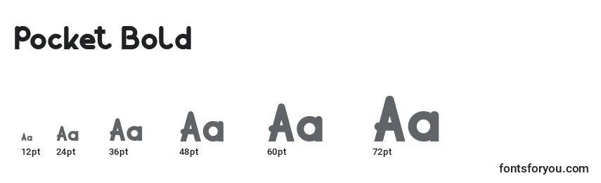 Pocket Bold Font Sizes