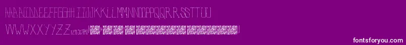 PolarBears Font – White Fonts on Purple Background