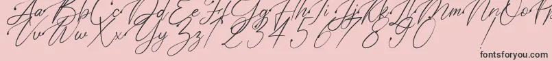 Polarise-Schriftart – Schwarze Schriften auf rosa Hintergrund