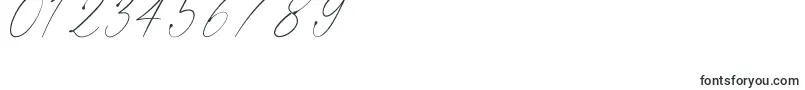 Polarise Font – Fonts for Numbers and Digits