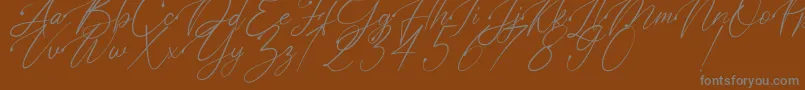 Polarise Font – Gray Fonts on Brown Background
