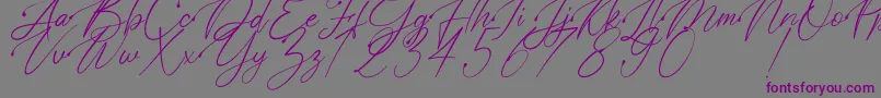 Polarise Font – Purple Fonts on Gray Background