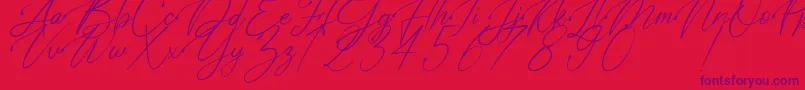 Polarise Font – Purple Fonts on Red Background