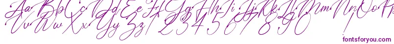 Polarise Font – Purple Fonts on White Background