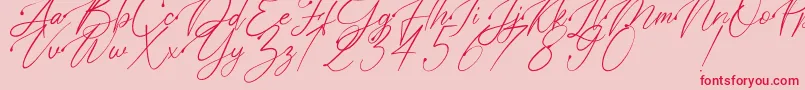 Polarise Font – Red Fonts on Pink Background