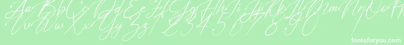 Polarise Font – White Fonts on Green Background