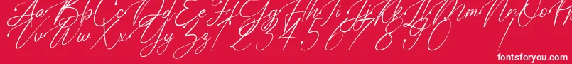 Polarise Font – White Fonts on Red Background
