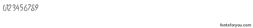 Pollaroid Font – Fonts for Numbers and Digits