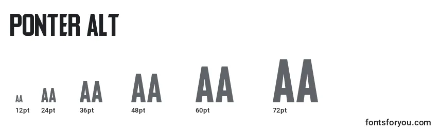 Ponter Alt Font Sizes