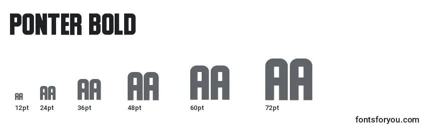 Ponter Bold Font Sizes