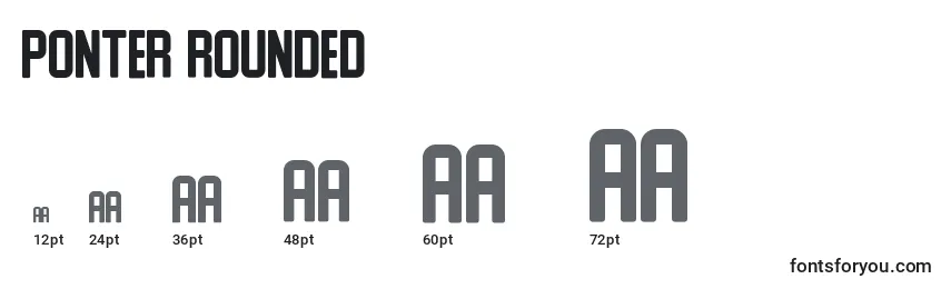 Ponter Rounded Font Sizes