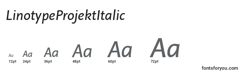 Размеры шрифта LinotypeProjektItalic
