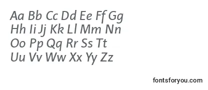 LinotypeProjektItalic フォントのレビュー