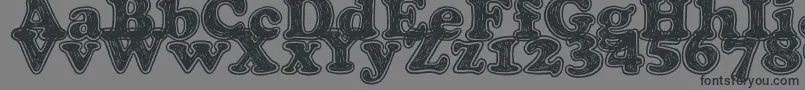 Pop of the Tops-Schriftart – Schwarze Schriften auf grauem Hintergrund