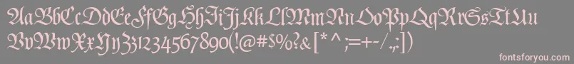 Poppl  Fraktur CAT Font – Pink Fonts on Gray Background