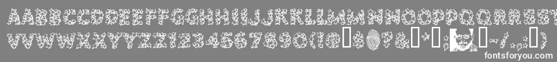 POPSTARS Font – White Fonts on Gray Background