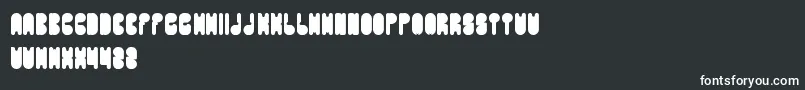 PORTABLE Font – White Fonts