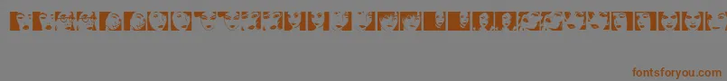 PortraitsdeFemmes Font – Brown Fonts on Gray Background
