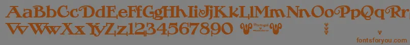 Portugal Vintage Font – Brown Fonts on Gray Background