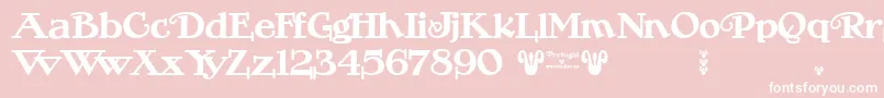 Portugal Vintage Font – White Fonts on Pink Background