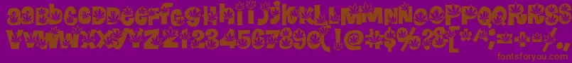 PotLand Font – Brown Fonts on Purple Background