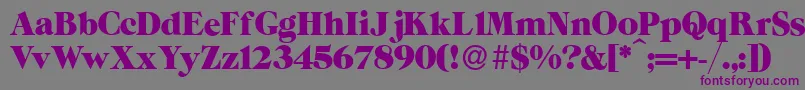 ZeppRegular Font – Purple Fonts on Gray Background