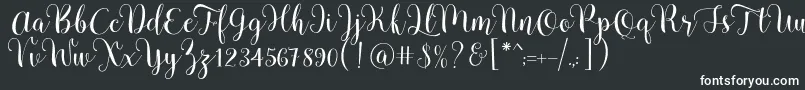 Pradyse Script Free Demo Font – White Fonts on Black Background