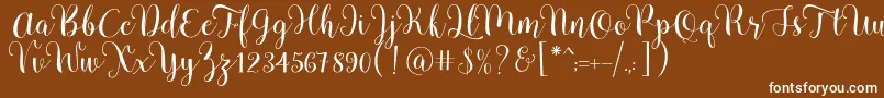 Pradyse Script Free Demo Font – White Fonts on Brown Background