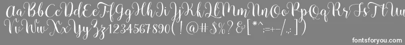 Шрифт Pradyse Script Free Demo – белые шрифты на сером фоне