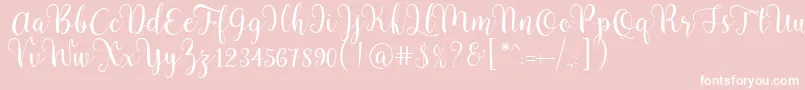 Pradyse Script Free Demo Font – White Fonts on Pink Background