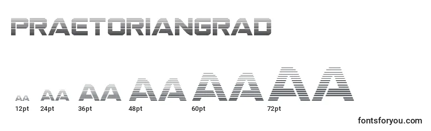 Размеры шрифта Praetoriangrad (137229)